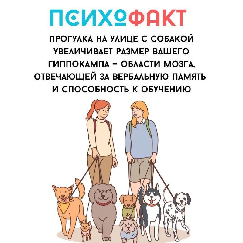 Психофакт